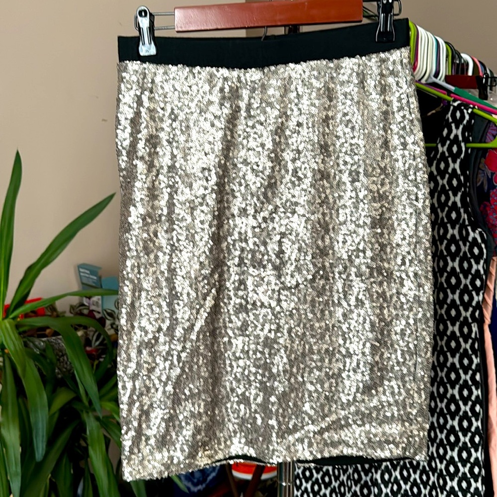 Silver sequence skirt